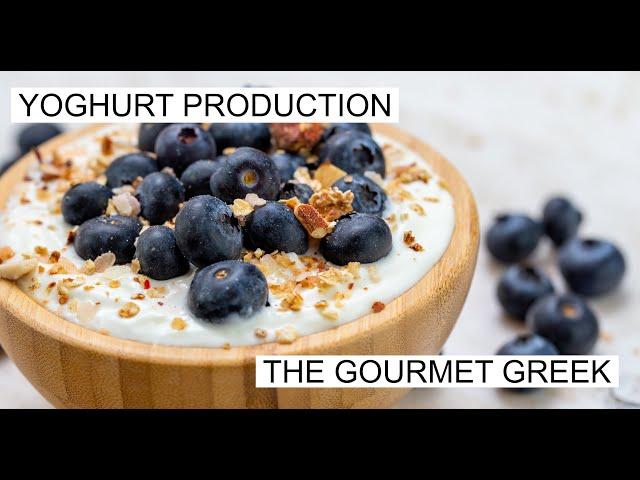 THE GOURMET GREEK: YOGHURT PRODUCTION.