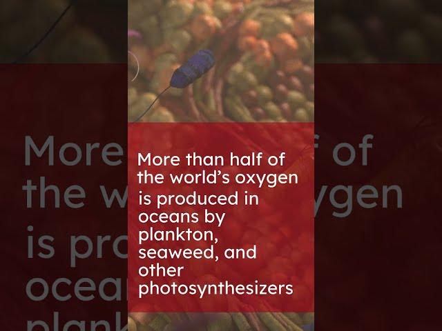 Biolution science shorts:  Microbiome Facts #04