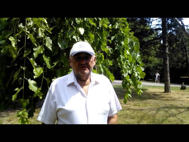 Приглашаю на мой канал