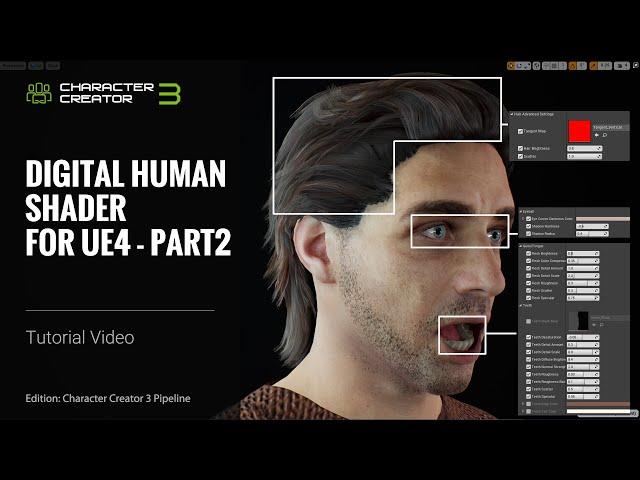 Character Creator 3 Tutorial - Digital Human Shader for Unreal Engine 4: Part 2