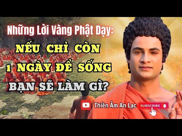 Lời Vàng Phật Dạy: Nếu Chỉ Còn 1 Ngày Để Sống - Bạn Sẽ Làm Gì?