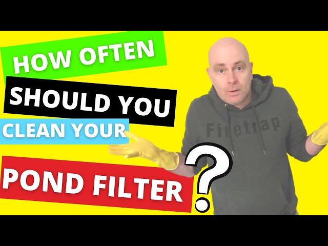 How often should you clean your koi pond filter?