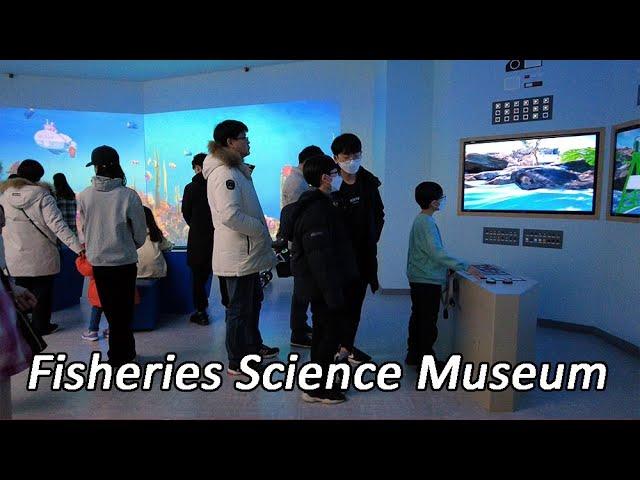 [4K Korea] Busan Gijang National Fisheries Science Museum. a wonderful experience for children