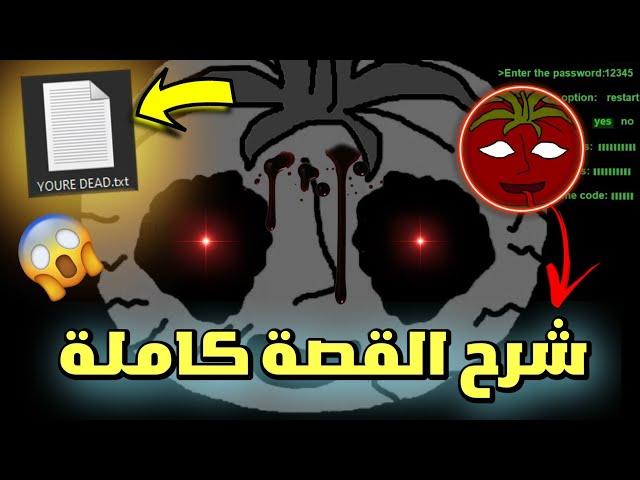 لعبة إخترقت جهازي ومسحت كل الملفات | شرح القصة كاملة | Mr. tomatoS