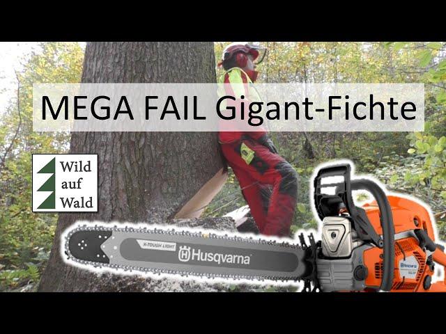 Baumfällung geht völlig schief - FAIL mit Husqvarna 592XP und Stihl 500i #wildaufwald