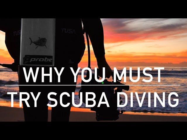 WHY YOU MUST TRY SCUBA DIVING - Tom Park