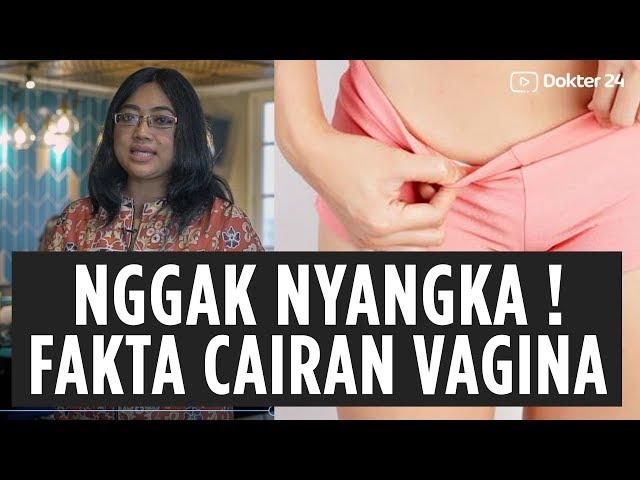 Dokter 24 - Nggak Nyangka ! Fakta Cairan Vagina !