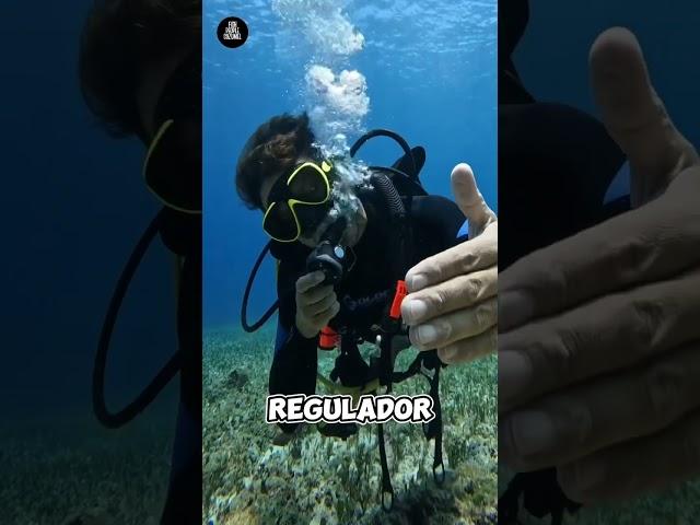 EMERGENCIA! Como respirar de un regulador en flujo continuo. #aprendeabucear #buceo #cozumel