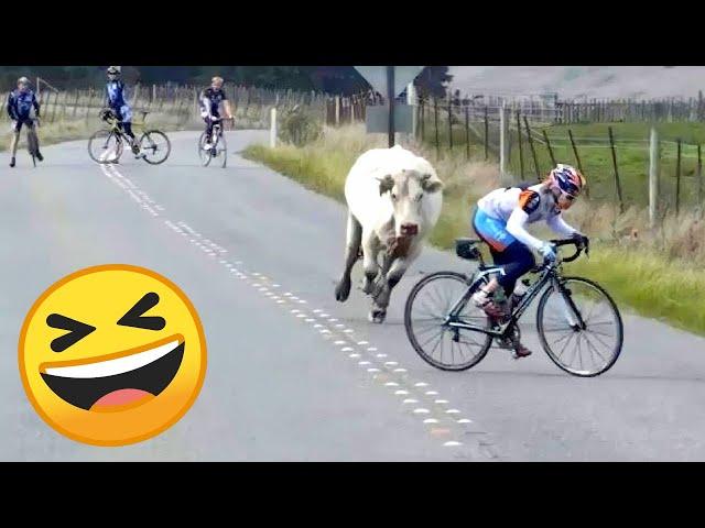 IMPOSSIBLE TRY NOT TO LAUGH  Funny Videos Compilation  Funny Memes 2023 PART 12