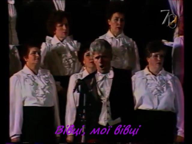 Вівці, мої вівці