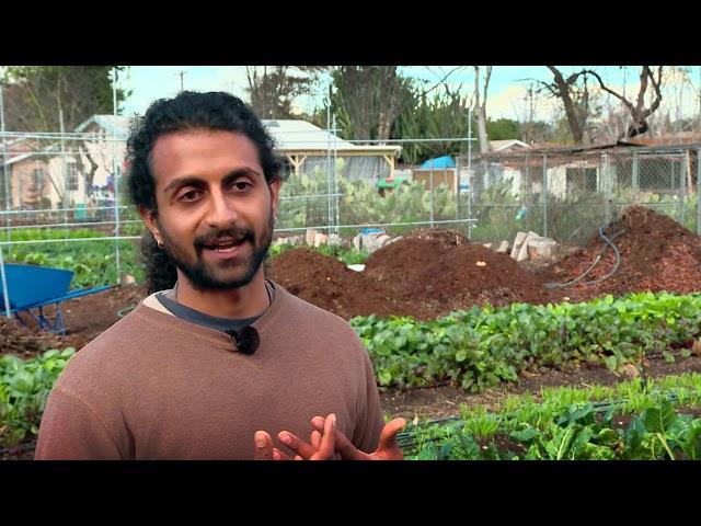 Full Frame: Planting Tomorrow featuring Sarvodaya Farms