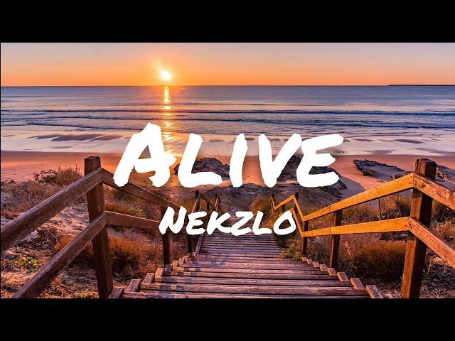 Nekzlo - Alive (Vlog Music)