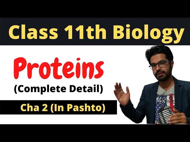 PROTEINS | FSC biology book 1 | Cha 2 in pashto | Home of biology