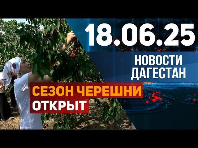 Черешневый сезон в Дагестане. Новости Дагестана за 18.06.2025 год