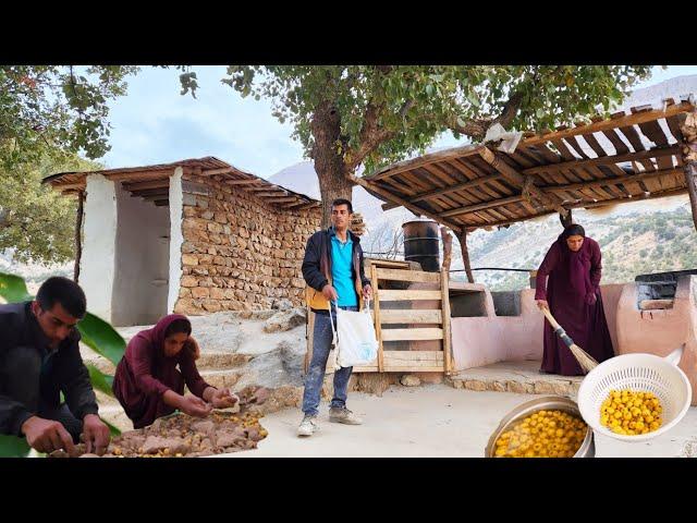 The art of nomadic women in making fruit compote and house construction