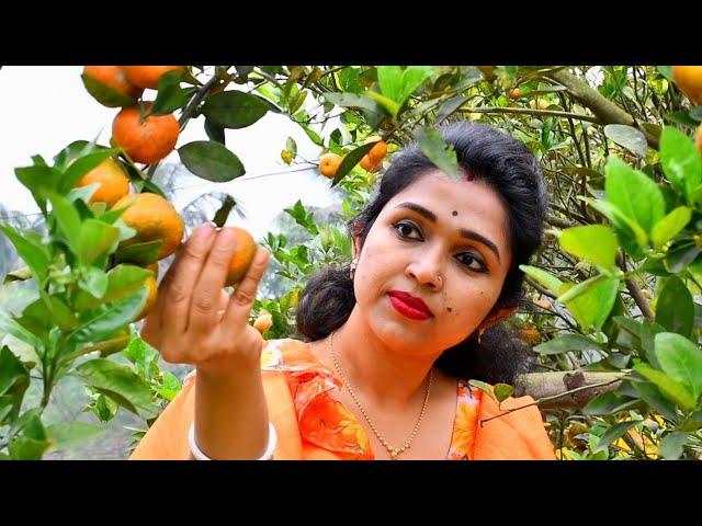 বাগানের তাজা কমলালেবু দিয়ে বিভিন্ন রেসিপি//Garden Fresh Oranges Make My Recipes Flavourful & Tasty