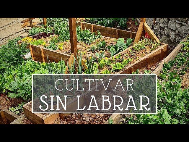 Por qué cultivamos SIN LABRAR? | No dig - agricultura regenerativa