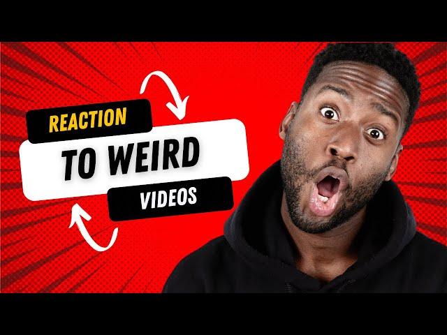 Reaction to viral Weird videos