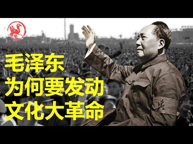 Why did Mao Zedong launch the Cultural Revolution?
