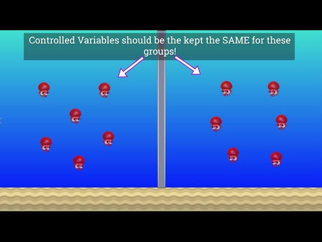 Variables in Science: Independent, Dependent and Controlled!