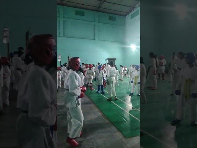 workshop on karate # kumite