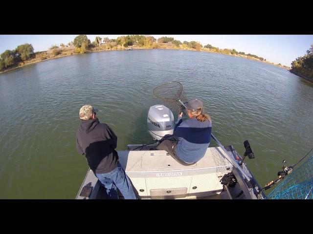 Salmon Fishing Sacramento River - Garcia Bend 11/3/19 - Chuck's Fish