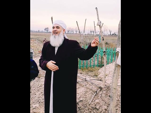 МАВЛАВИ БОХТАРИ