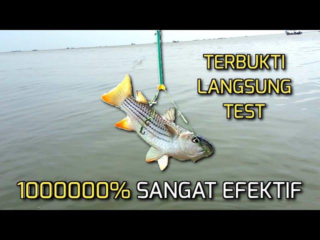 Membuat Rangkaian pancing ikan BELANAK | Mullet Fishing | Efektif & Anti Kusut