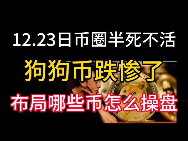 12.23日币圈半死不活！狗狗币跌惨了！布局哪些币以及怎么操盘？