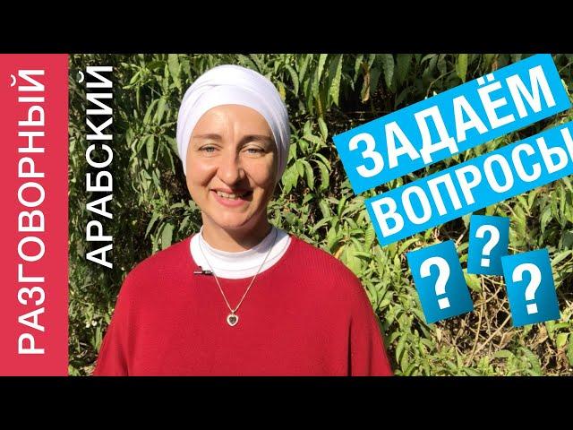 Задаем вопросы. Разговорный арабский. Учимся говорить по-арабски