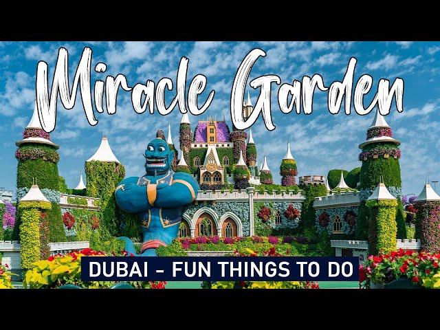 Why Is The Dubai Miracle Garden So Special?