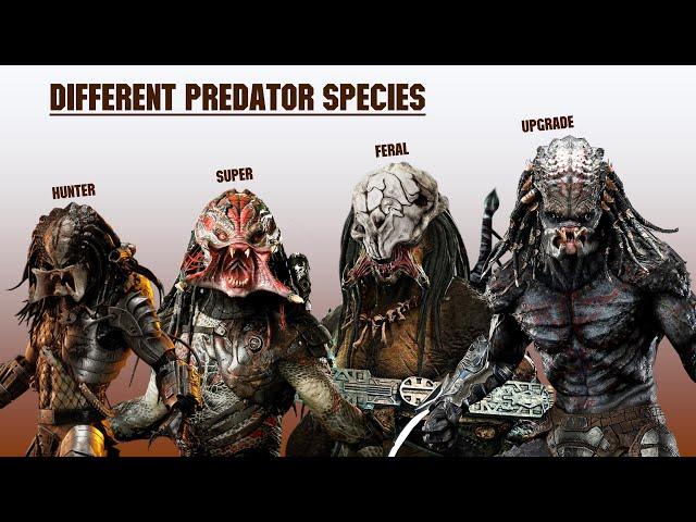 The 8 Predator Subspecies And Hybrids Explained