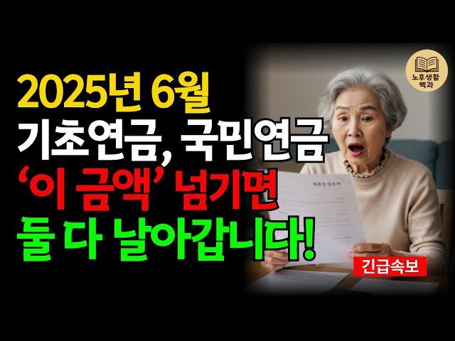 65세 기초연금, ‘이 금액’ 넘기면 둘 다 탈락합니다｜2025년 6월 최신 제도 총정리  | 생활지혜 | 노후준비 | 노후생활백과