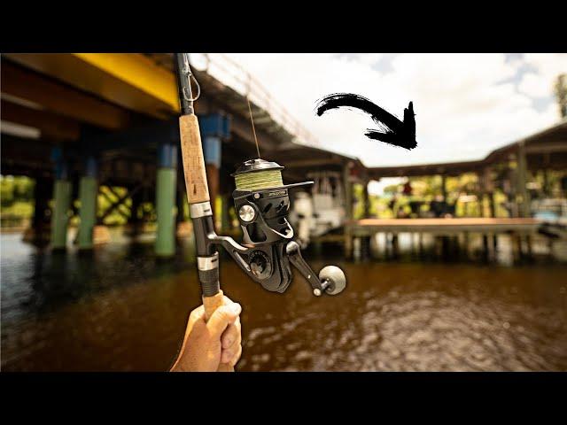 PULLING BIG SNOOK OUT OF BIG STRUCTURE!