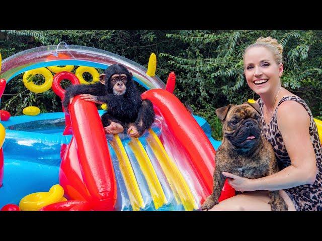 Baby Chimp Water Slide