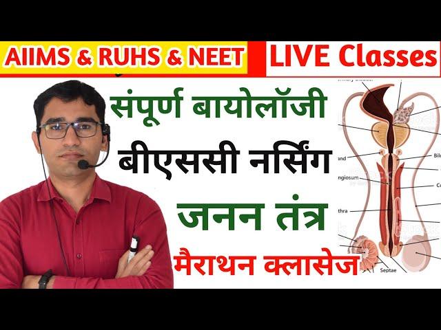 LIVE- BIOLOGY HUMAN REPRODUCTION PART-2 | RUHS BSC NURSING LIVE CLASSES | AIIMS & RUHS CLASS BIOLOGY