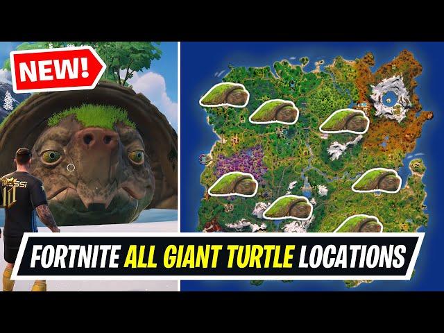 How to EASILY Find the Giant Turtle in Fortnite - Where to Find The Giant Turtle All Locations