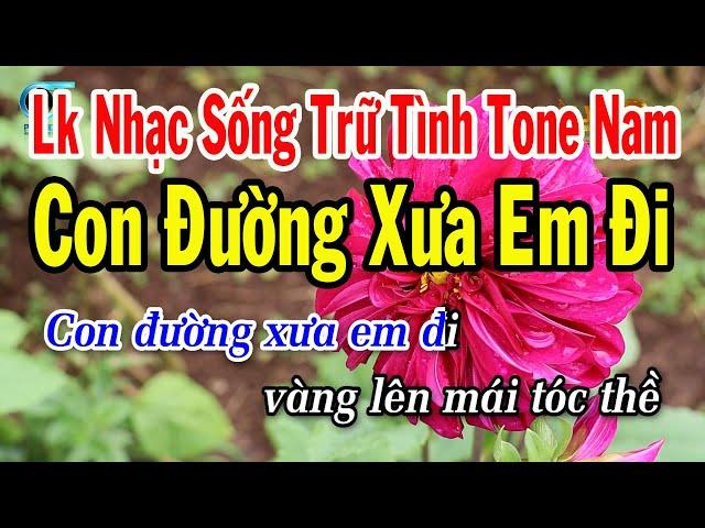 Karaoke Liên Khúc Trữ Tình Bolero Tone Nam || Con Đường Xưa Em Đi || Đường Tím Bằng Lăng