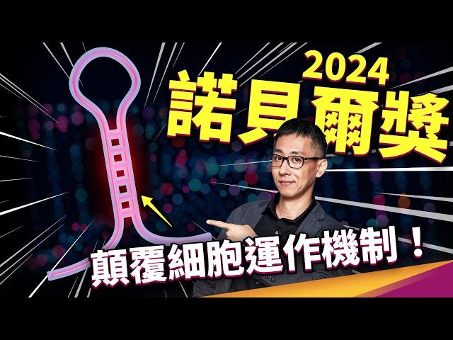 顛覆細胞運作機制！不起眼的 miRNA 竟然是癌症治療的突破關鍵！？2024諾貝爾生醫獎！