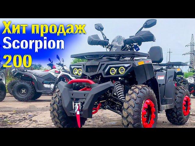 Самый популярный квадроцикл Scorpion 200