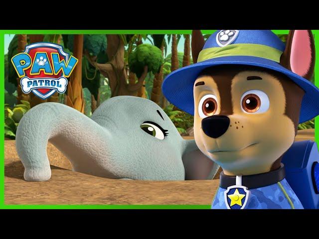 Os Cães Salvam um Elefante Bebé Brincalhão - Patrulha Pata PAW Patrol Episódio Português