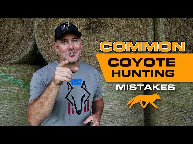 Coyote Hunting Mistakes You May Be Making