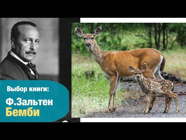 БЕМБИ: смысл сказки. Выбор книги | Детская книжная полка