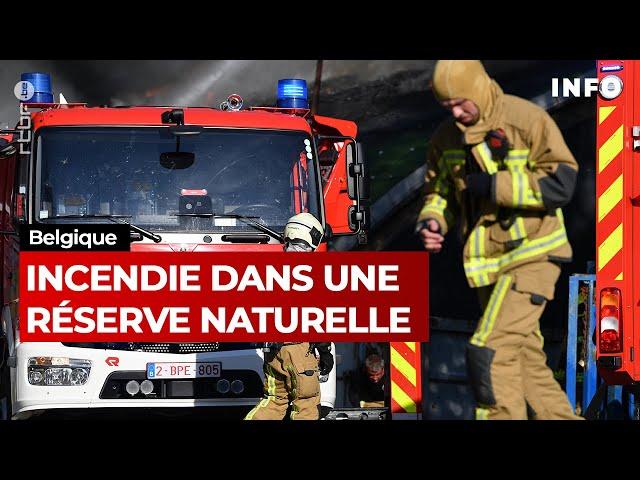 Belgique : Incendie dans une réserve naturelle - JT RTBF