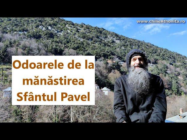 Odoarele din mănăstirea Sf. Pavel - părintele Pimen Vlad