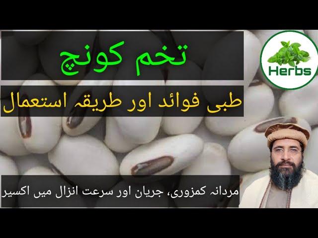 Benefits of Konch | Konch ke Fayde | Tukham Konch | تخم کونچ کے فائدے | Hakeem Zia ur Rehman