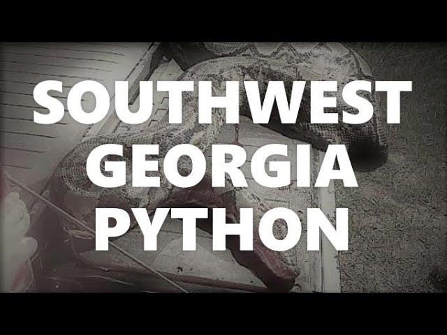 Python in Southwest Georgia