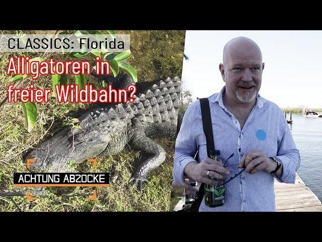 Alligatoren und teure Tours!  Unnötige Fahrt durch die Everglades! | Achtung Abzocke CLASSICS