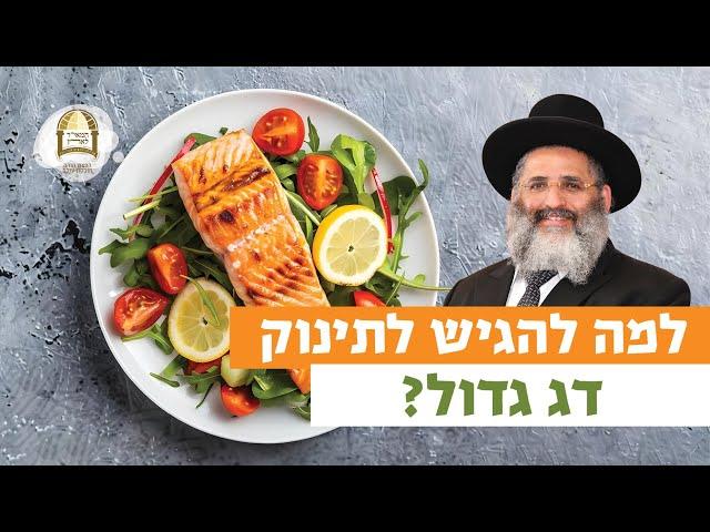 למה להגיש לתינוק דג גדול? | רגע של אור עם מו"ר הרב ישראל אברג'ל שליט"א