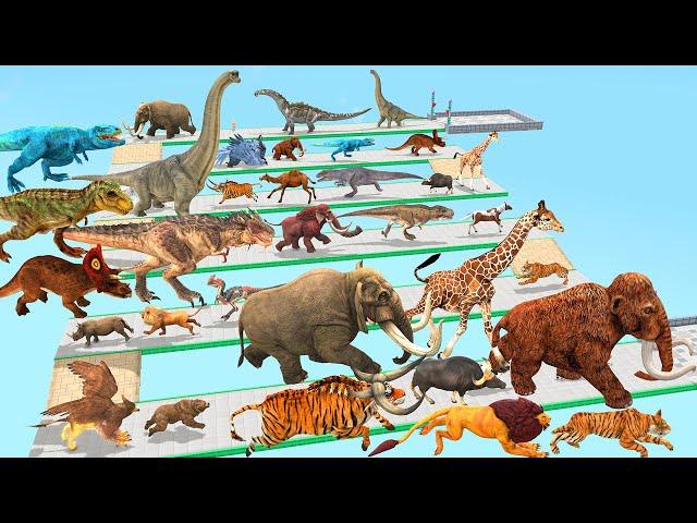 Which Animal vs Dinosaurs Speed Race Run Zigzag Down Course! from Outside Animal Revolt Battle Simul